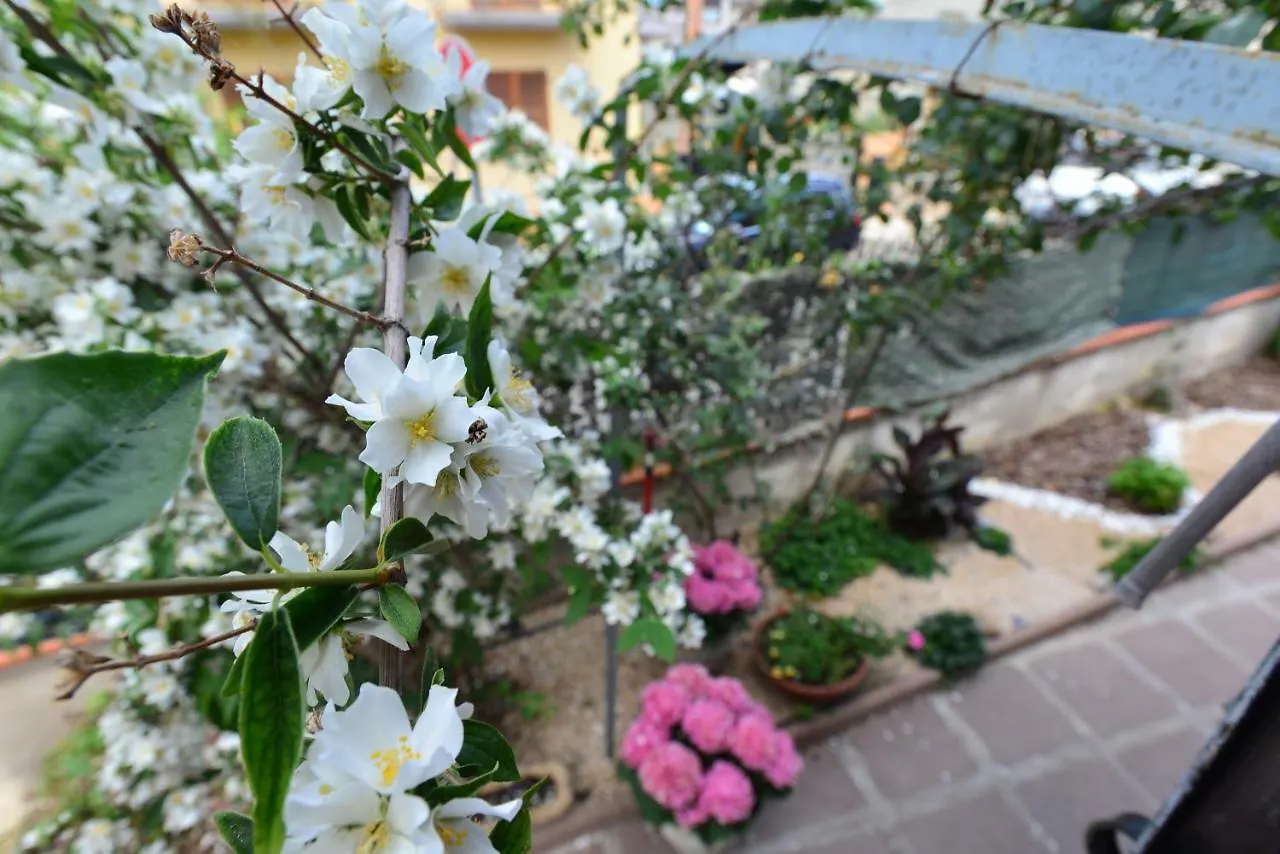 Villa Elisabetta Apartments Pula 0*,