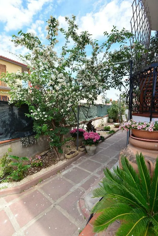 Villa Elisabetta Apartments Pula